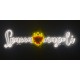 Neon Schriftzug