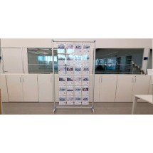 Immobilien-Display für Schaufenster