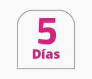 5 Arbeitstage